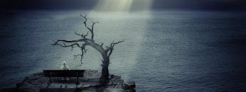 [ID: d2qYO_5LmhM] Youtube Automatic