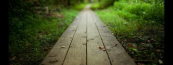 [ID: gaCxZeDLm-g] Youtube Automatic