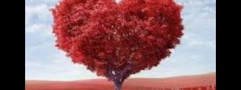 [ID: MOmoEBMGVYA] Youtube Automatic