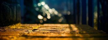 [ID: mPxTWLZZ3Wc] Youtube Automatic