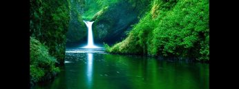 [ID: thxUZR8FfzM] Youtube Automatic