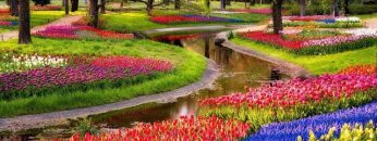 [ID: Ttgx5xMliys] Youtube Automatic