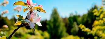 [ID: URxoAPFL4NM] Youtube Automatic