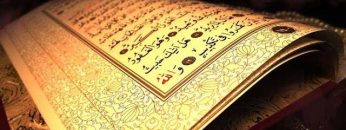 [ID: wGUdDEXA24o] Youtube Automatic