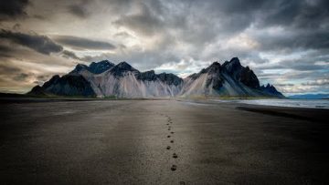 [ID: y8-465BWGIw] Youtube Automatic