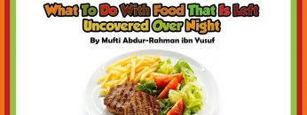 [ID: pmzB5Rt_mK4] Youtube Automatic