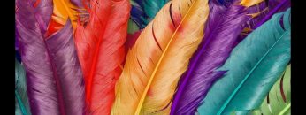 [ID: YZsO5cpCaog] Youtube Automatic