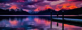 pexels-pixabay-206359