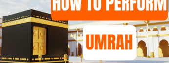 Thrifty In Transit Youtube Thumbnail