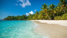 create for me a thumbnail for an article called _An Unexpected Journey to the Paradise of the Caribbean (Barbados)_ (1)